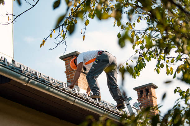 Best Metal Roofing Contractor  in New Brighton, PA