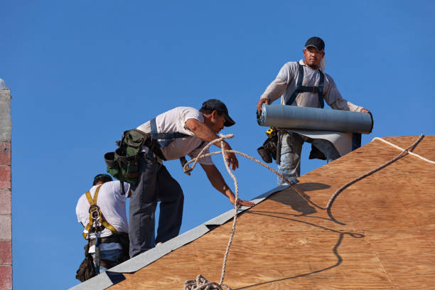 Best Storm Damage Roof Repair  in New Brighton, PA